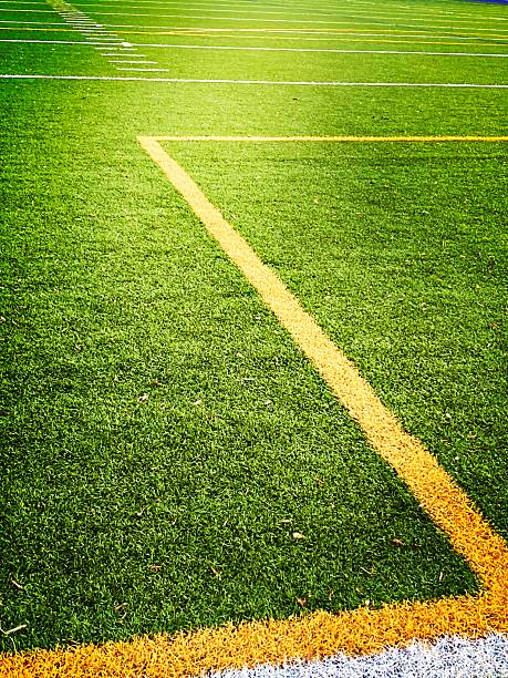 Soccer ball on green grass. Top view.