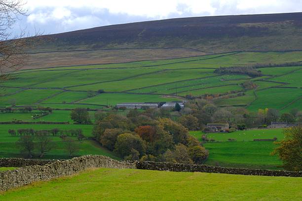 istock Rolling Green Fields with Dry Stone Walls in the Yorkshire Dales 2247586366