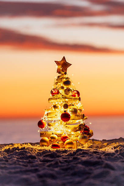 istock Pretty little decorated Christmas Tree on the beach 2247586430