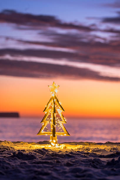istock Illuminated Christmas Tree on a beach in summer 2247586443