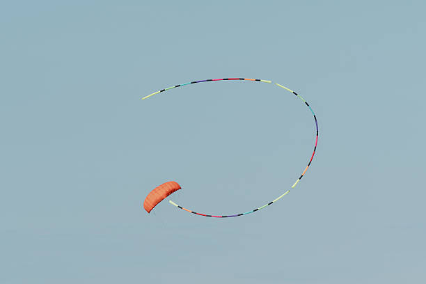 Child dragon in the sky n