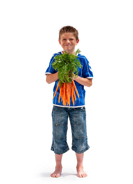 Happy smiling kid boy holding organic carrots and a little shovel , isolated on a white background