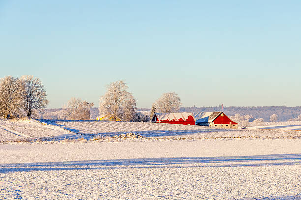 istock Winter in the countryside with snowy fields a red barns 2247590454