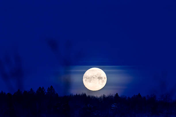 istock Moon shining over a woodland in silhouette 2247590575