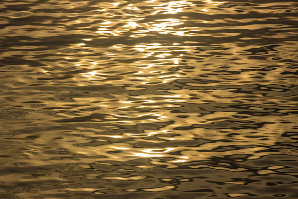 Golden surface of the water at sunset