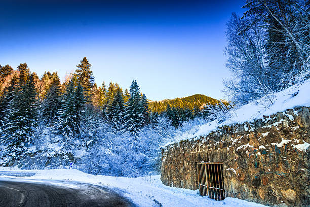 Snowy forest in Occitanie