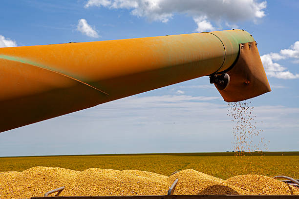 Luis Eduardo Magalhaes is an emergent and thriving town thanks to the variety of crops cultivated, state of Bahia