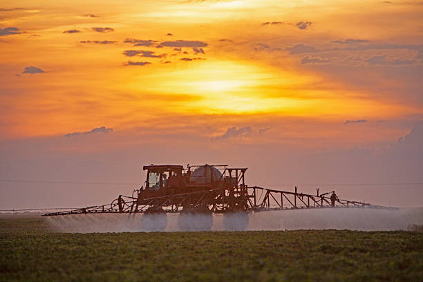 Luis Eduardo Magalhaes is an emergent and thriving town thanks to the variety of crops cultivated, state of Bahia