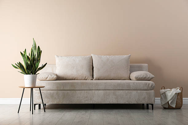 istock Comfortable sofa with pillows, houseplant and basket near beige wall 2247599101