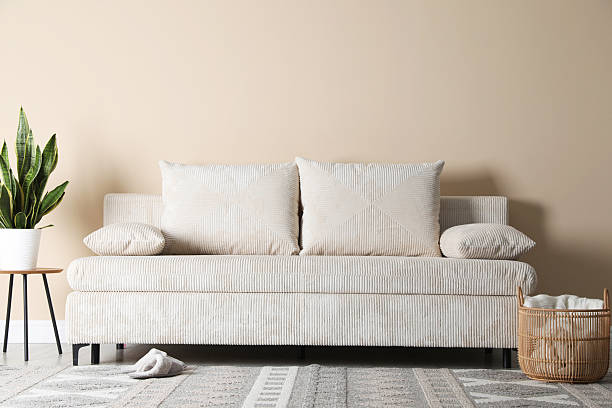 istock Comfortable sofa with pillows, houseplant and basket near beige wall 2247599103