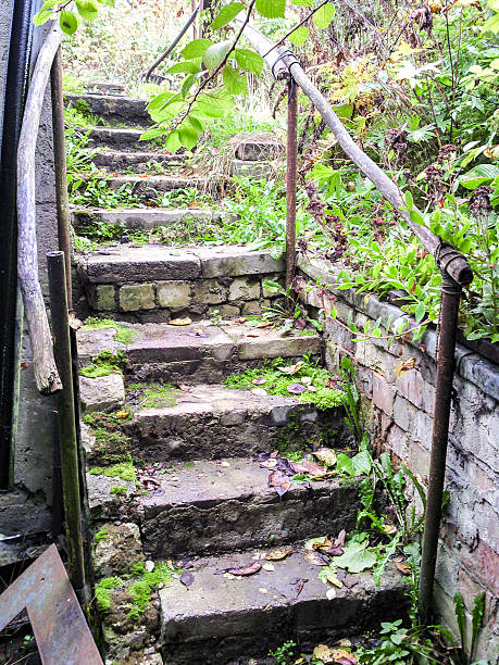 istock Old abandoned stairs overgrown with grass and moss 2247599199