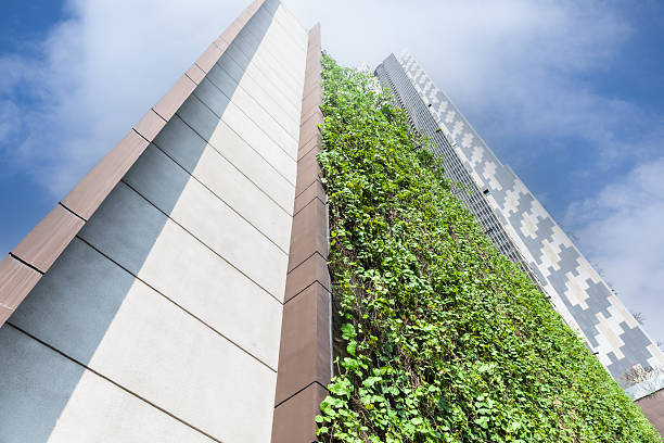 istock Vertical Garden – Sustainable Resources – Green Building 2247600039