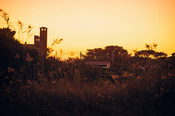 A warm sunset paints the sky behind a small rural town, casting silhouettes of a tower, buildings, and tall grasses in the foreground. Calm, tranquil, and cinematic mood with golden tones.
