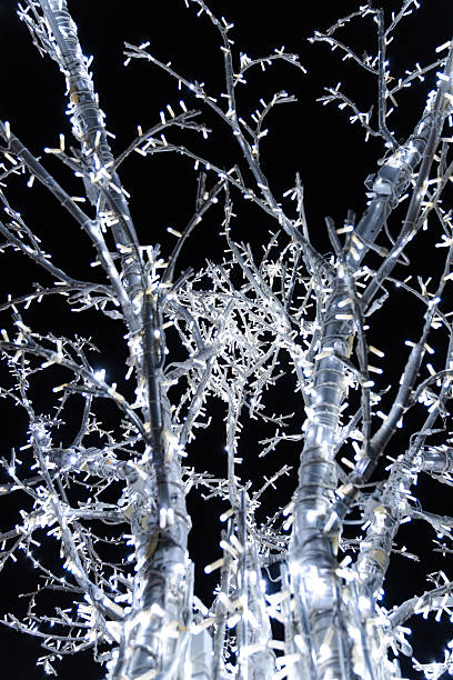 Close-up from a low angle of modern trees adorned with white LED lights creating an abstract winter backdrop at night.
