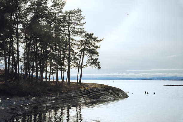 istock A winter day by the sea in Oslo Norway 2247603409