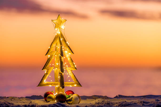 istock Christmas tree with fairy lights on a coastal beach 2247604616