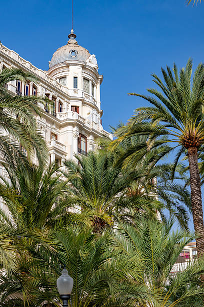 istock Palm Tree Promenade of Alicente Spain 2247605895