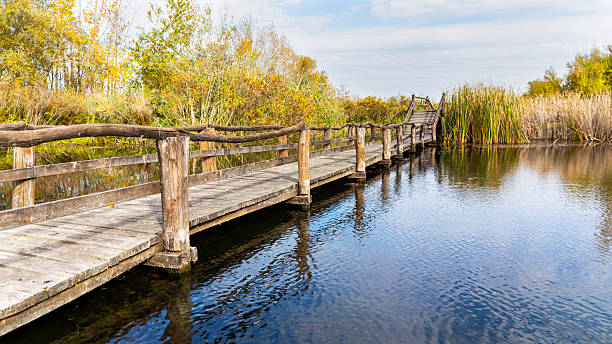 istock Old Wooden Bridge over Small River in Nature Park 2247606629
