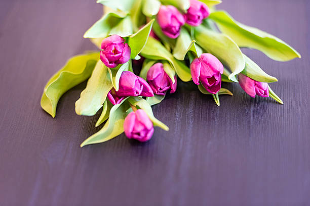 Bouquet of Fresh Purple Tulips on Blue Background