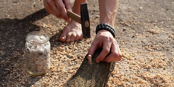 istock Homegrown edible mushrooms on wooden logs -  inoculating process 2247617230