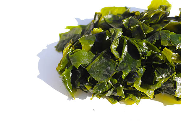 istock Pile of fresh wakame seaweed. 2247619965