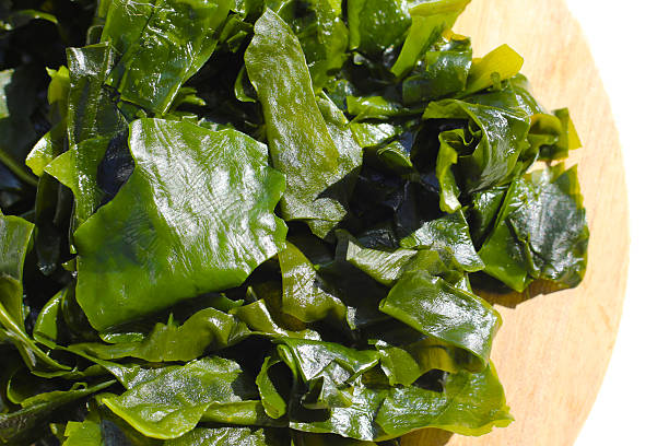 istock Pile of fresh wakame seaweed. 2247619997