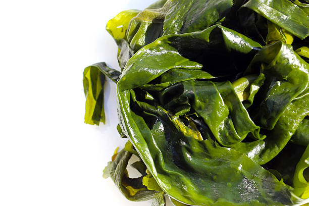 istock Pile of fresh wakame seaweed. 2247623569
