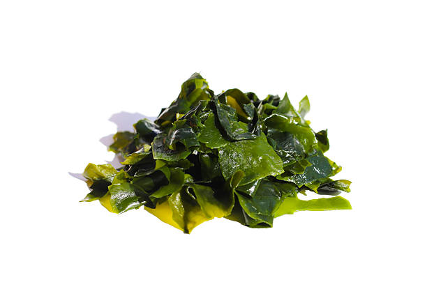 istock Pile of fresh wakame seaweed. 2247623656