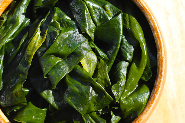 istock Pile of fresh wakame seaweed. 2247623789