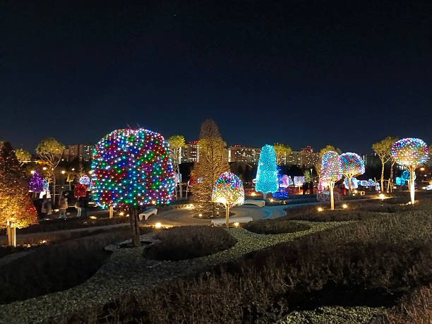istock Decorated trees with glowing garlands in Galitsky Park. 2247623865