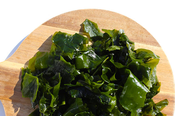 istock Pile of fresh wakame seaweed. 2247623913