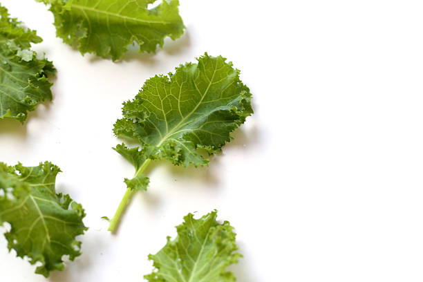 istock Fresh curly green kale leaves on white background. 2247623994