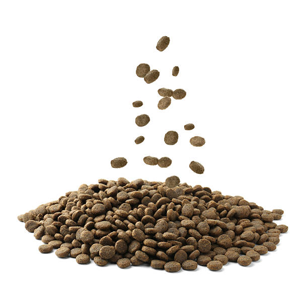 istock Dry pet food falling onto heap on white background 2247624709