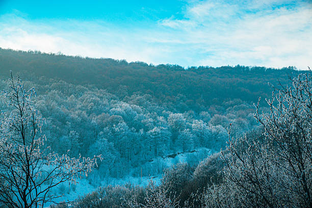 A stunning landscape at Tsaghkadzor Ski Mountain, surrounded by snowy slopes and crisp winter scenery.