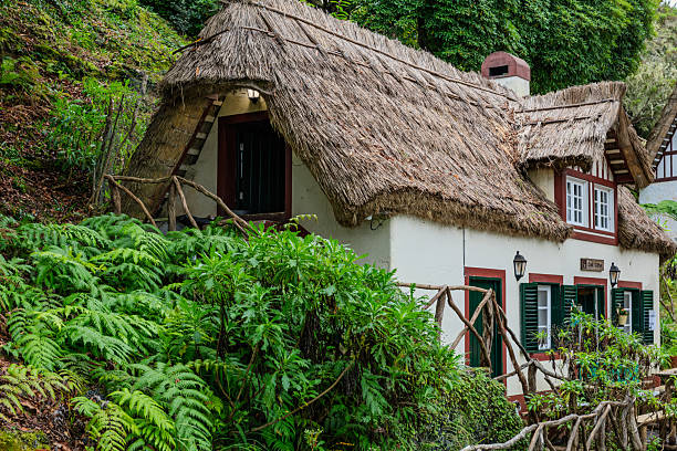 An old traditional cottage with a thatched roof surrounded by lush green forest on Madeira Island. The scene highlights the island’s rustic charm and connection to nature