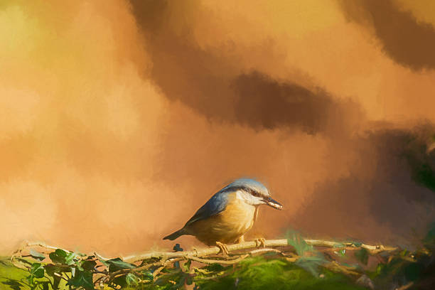 istock Environmental portrait of a Eurasian Nuthatch in the forest. 2247626764