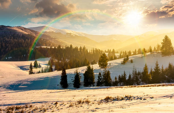 istock spruce forest on snowy hills at sunset 2247628004