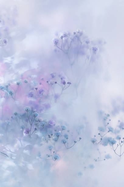 Soft pastel flowers in dreamy blur with gentle light, romantic mood, airy texture and delicate floral background.