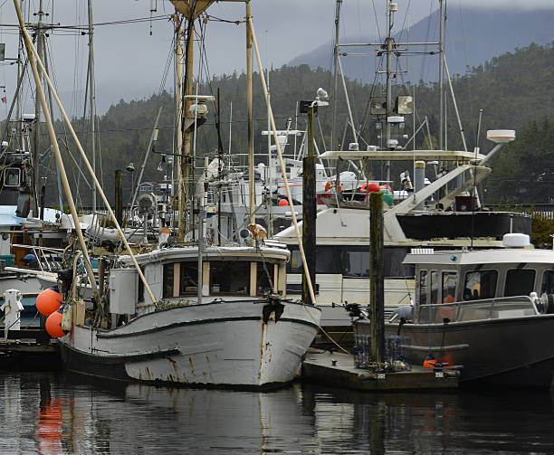 istock Fishing Boats in Harbour 2247630736