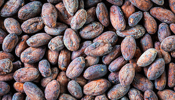 istock Cocoa beans ,organic cocoa beans Ingredient for preparating chocolate . cocoa beans background . Top view 2247630824