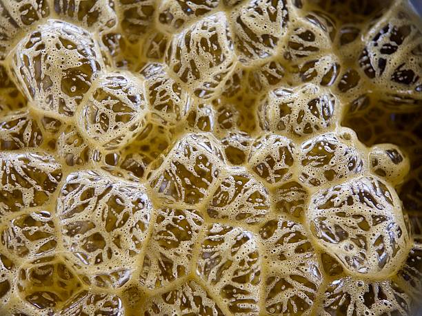 istock macro shot of a frothy, bubbly liquid, forming a complex web of interconnected bubbles with a golden hue. 2247631835