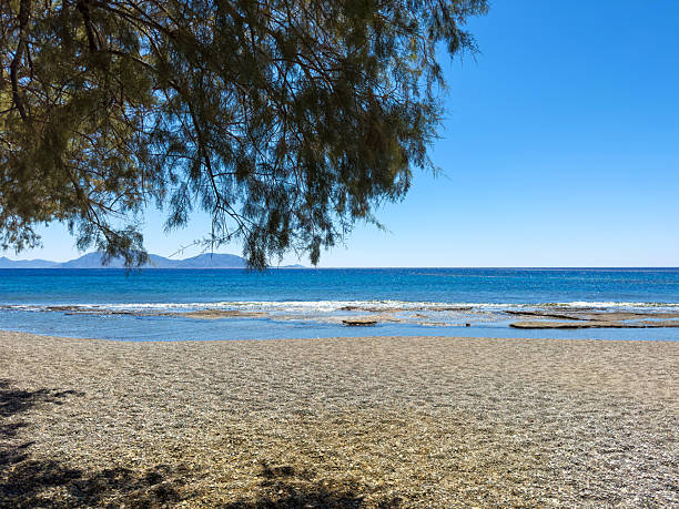 Shaded pebble beach with tranquil blue sea and gentle waves under clear midday sky