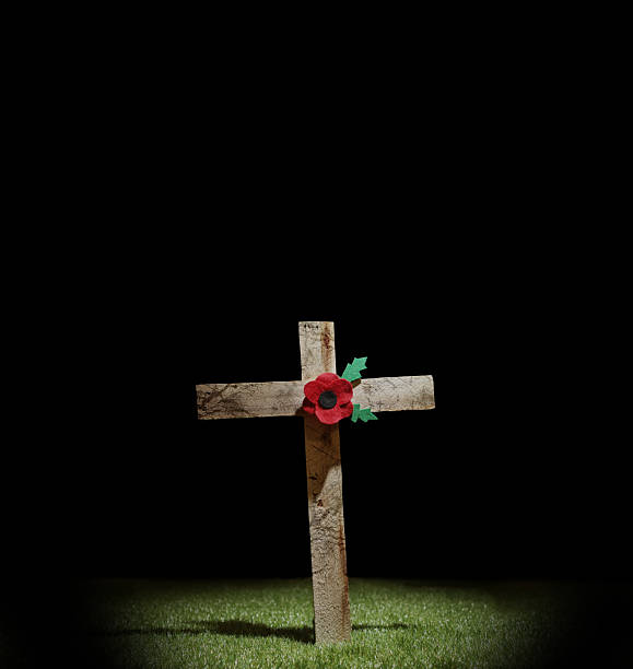 Poppy Day background. Remembrance Day - Lest We Forget. 3d illustration.