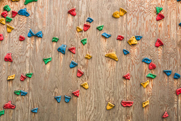Assorted colored climbing holds on outdoor wooden training wall.