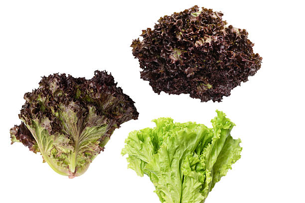 istock Fresh purple salad isolated on a white background. 2247635967