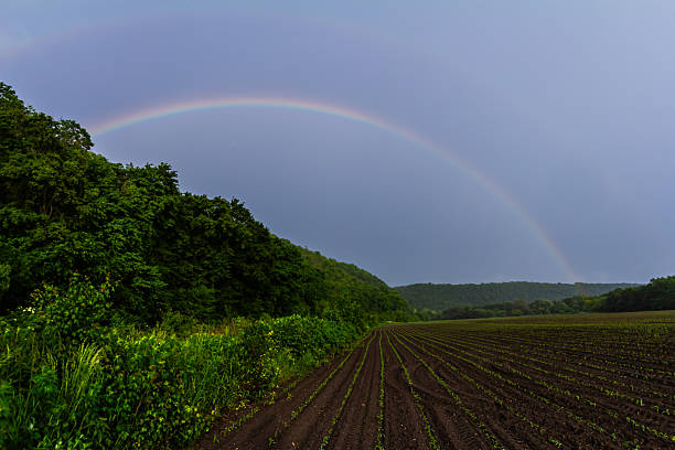 A vibrant rainbow spans the sky over newly tilled agricultural land surrounded by thick greenery and hills shortly after a rainstorm in the countryside.