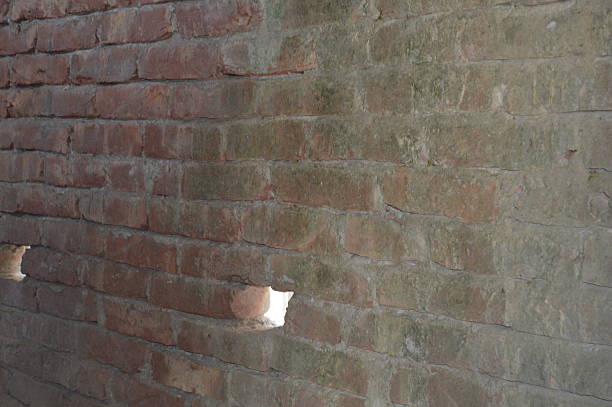 A detailed close-up of a weathered brick wall with moss and sandy plaster, showcasing rough textures, natural tones, and aged architectural details suitable for backgrounds and design projects.
