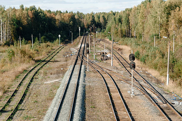 railway tracks in middle of forest, beautiful nature, view from above