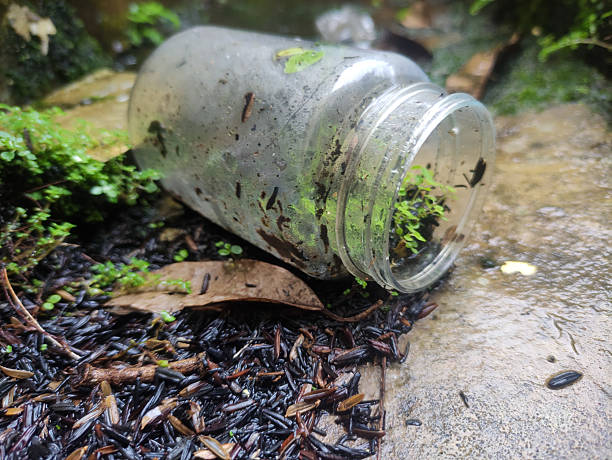 A close-up view of an old, dirty glass jar lying on wet ground, filled with lush green moss and new plant growth. Surrounded by dark, decaying organic matter and a dried leaf, the scene highlights nature's resilience and the emergence of life from forgotten waste, with a wet concrete surface nearby.