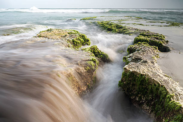 Coastal scene showcasing moss-covered rocks as water flows over them. This peaceful setting is enhanced by the overcast sky and creates a serene and timeless natural vista.